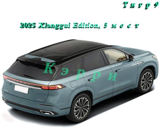 Тигр 9（2）