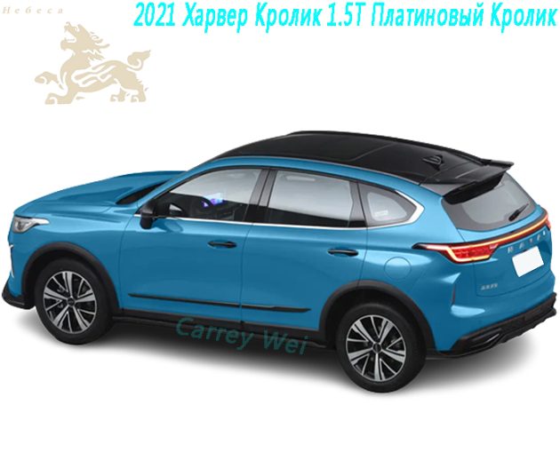 2021 Харвер Кролик 1.5T Платиновый Кролик（3）