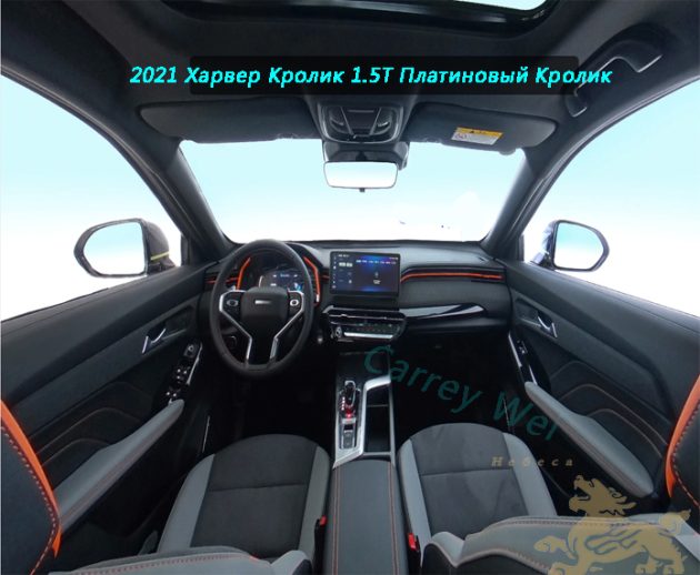 2021 Харвер Кролик 1.5T Платиновый Кролик（1）