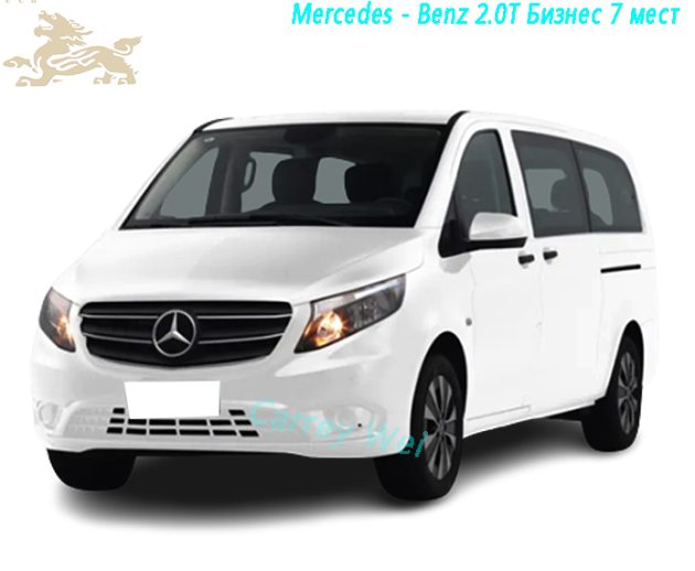 2023 Mercedes - Benz 2.0T Business Edition 7 мест