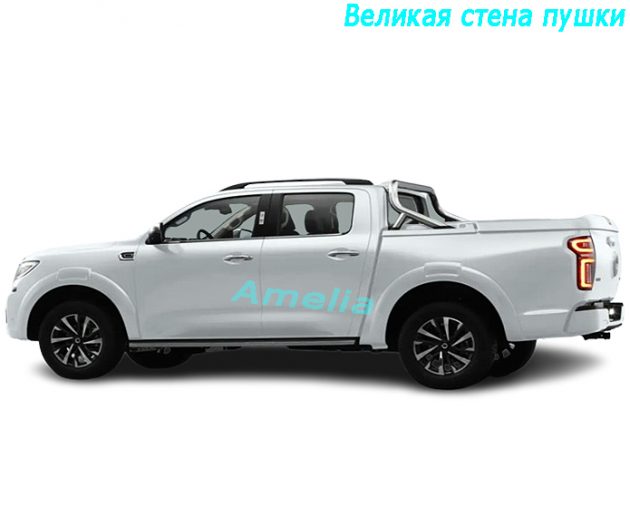 2023 Великая стена пушки 2.0T автоматический четырехприводной бензин（1）