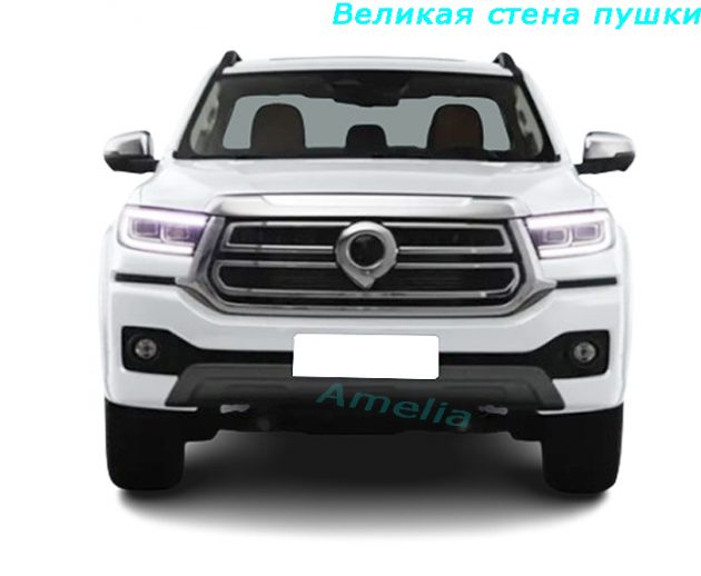 2023 Великая стена пушки 2.0T автоматический четырехприводной бензин