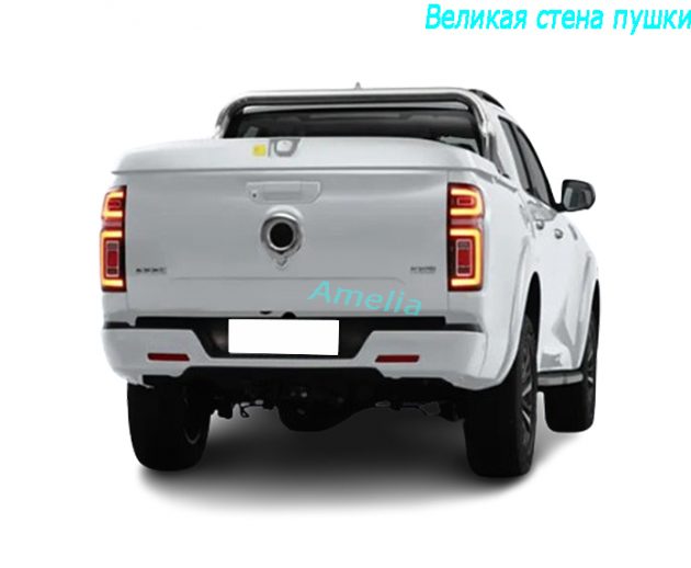 2023 Великая стена пушки 2.0T автоматический четырехприводной бензин(2)